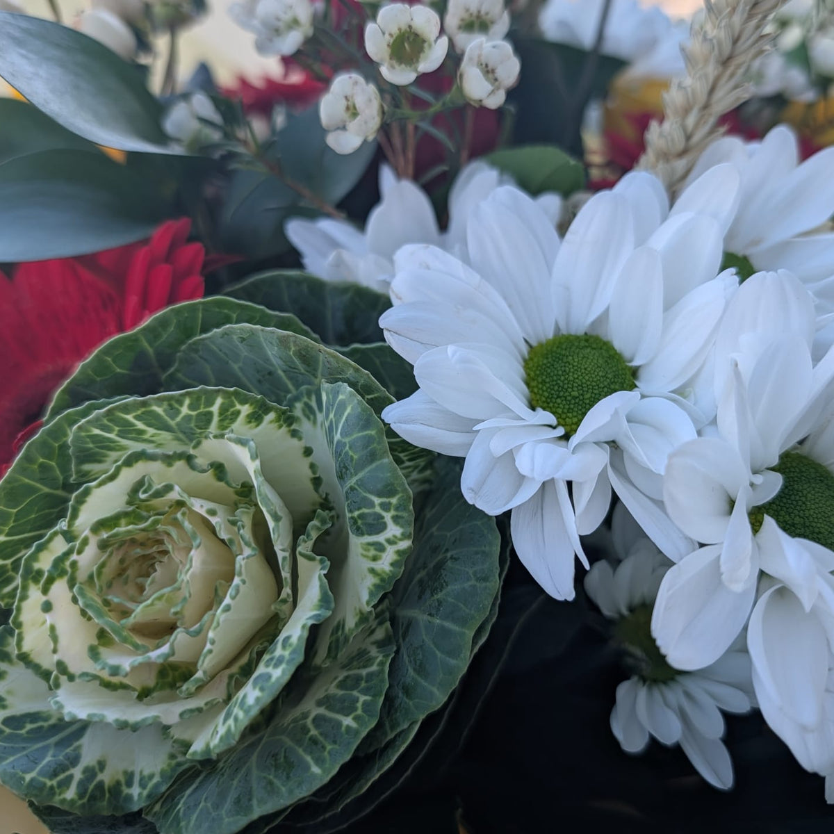 A close-up of a mixed floral arrangement featuring white daisy-like flowers with green centers, a variegated green and cream ornamental cabbage-like rose, small white baby's breath blooms, and dark green leaves, photographed outdoors.